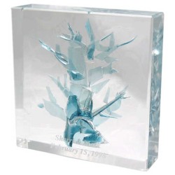 Tree of Life Wedding Glass Keepsake | Wedding | Judaica