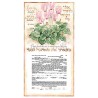 Rakefet Ketubah | All Judaica | Judaica