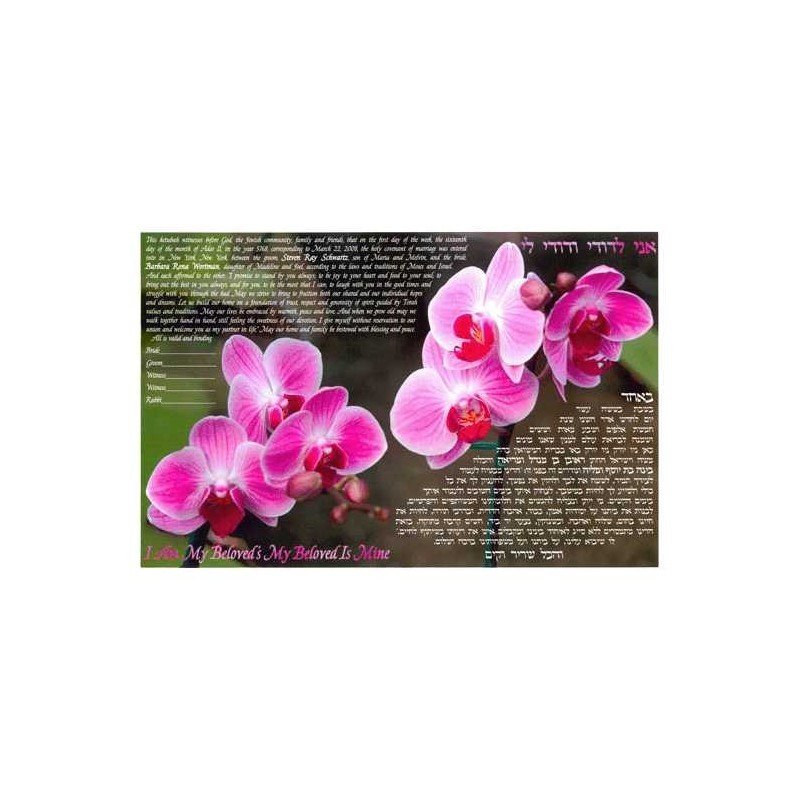 Together Ketubah | All Judaica | Judaica