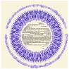 Lavender Perfections Ketubah | All Judaica | Judaica