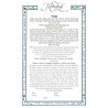 Simply Rose Ketubah | All Judaica | Judaica