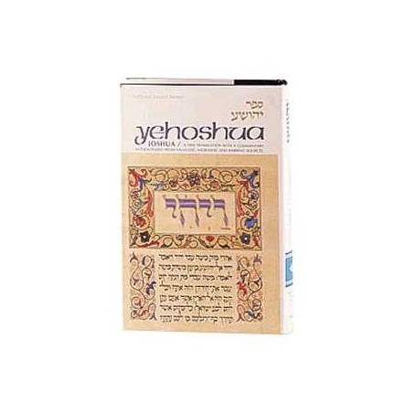 Artscroll Tanach Series: Yehoshua/Joshua | Books | Judaica