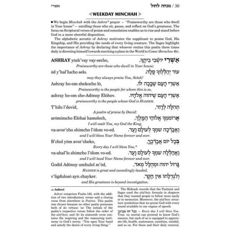 Artscroll Ashkenaz Transliterated Linear Siddur: S | Books | Judaica