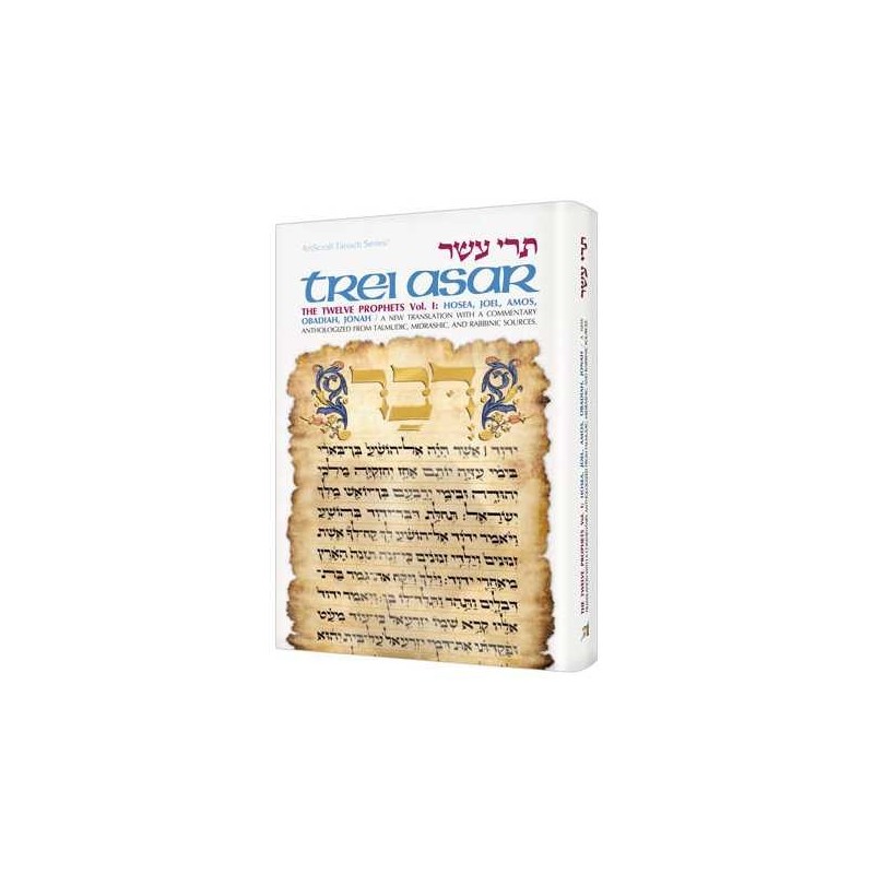 Artscroll Tanach Series: Trei Asar I- The Twelve P | Books | Judaica