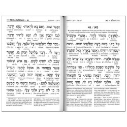 ArtScroll Interlinear Compact Tehillim: Schottenst | Books | Judaica