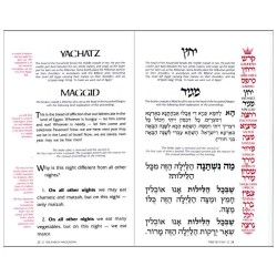 Artscroll Family Haggadah Set | Passover | Judaica