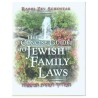 The Concise Guide to Jewish Family Laws | Books | Judaica