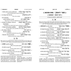 Artscroll Transliterated Tehillim: Seif Edition | Books | Judaica