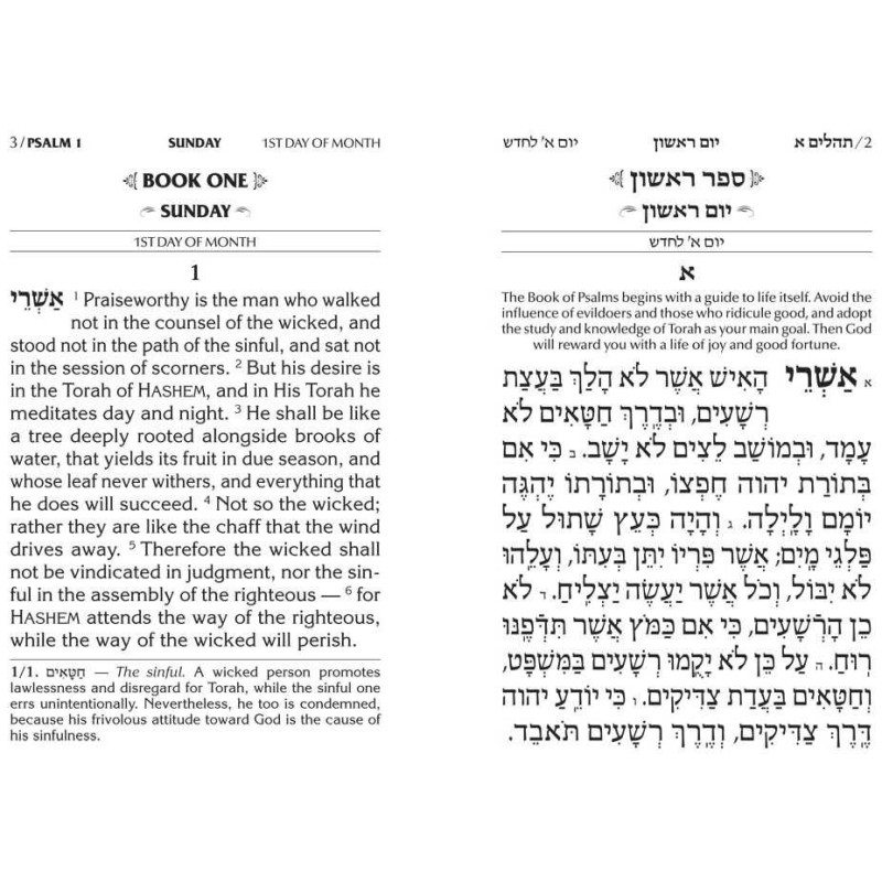 Large Type Tehillim / Psalms Full Size | Books | Judaica