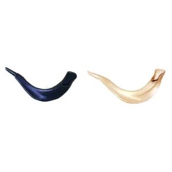 Brown Realistic Toy Shofar | Rosh Hashanah | Judaica