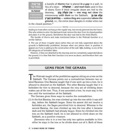 A Daily Dose of Torah Series 1 Vol 09: Weeks of Ba | Books | Judaica