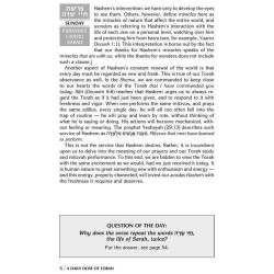 A Daily Dose of Torah Series 1 Vol 02: Weeks of Ch | Books | Judaica