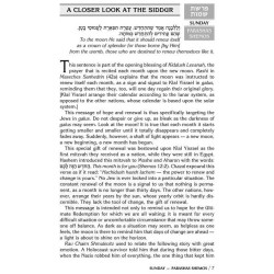 A Daily Dose of Torah Series 1 Vol 04: Weeks of Sh | Books | Judaica