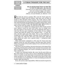 A Daily Dose of Torah Series 1 Vol 04: Weeks of Sh | Books | Judaica