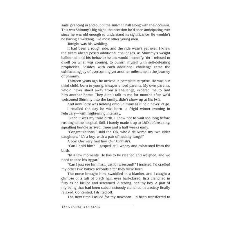 A Tapestry of Stars - Paperback | Books | Judaica