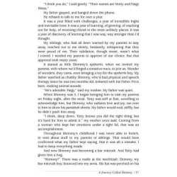 A Tapestry of Stars - Paperback | Books | Judaica