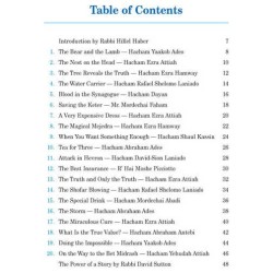 A Treasury of Sephardic Bedtime Stories - Hardcove | Books | Judaica