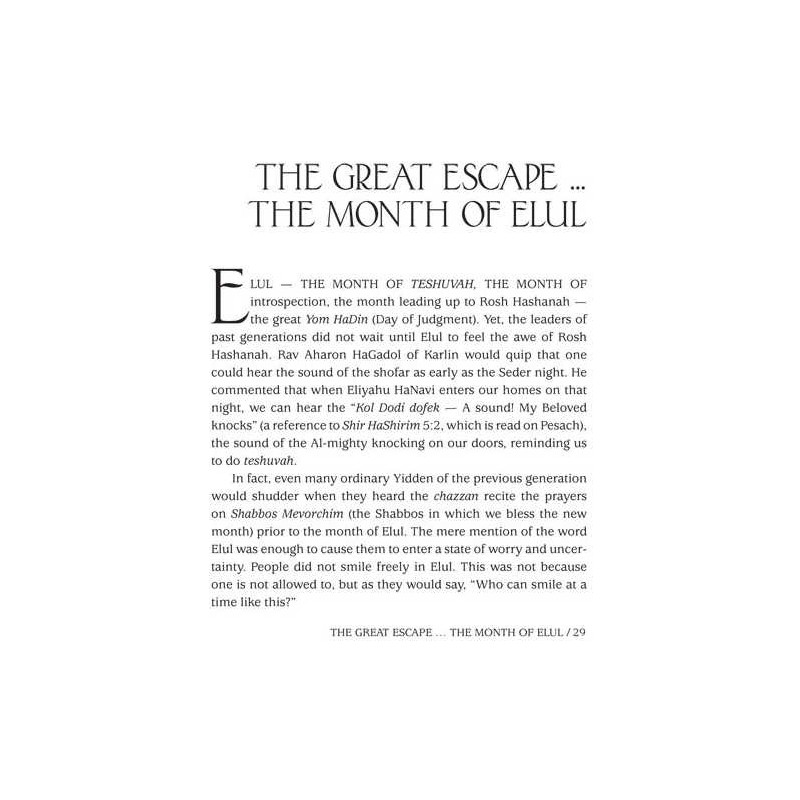 A Touch of Purity - Hardcover | Books | Judaica