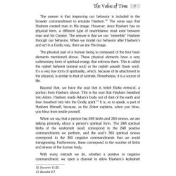 Ascending Jacob's Ladder - Hardcover | Books | Judaica