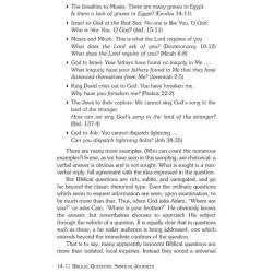 Biblical Questions, Spiritual Journeys - Paperback | Books | Judaica