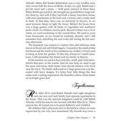 The Bostoner Rebbetzin Remembers - Hardcover | Books | Judaica