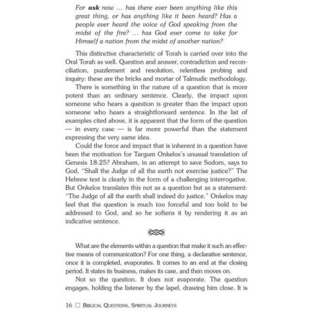 Biblical Questions, Spiritual Journeys - Hardcover | Books | Judaica