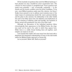 Biblical Questions, Spiritual Journeys - Hardcover | Books | Judaica