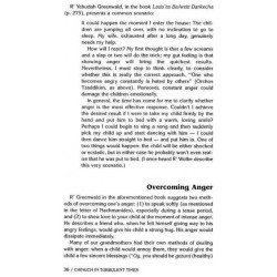 Chinuch in Turbulent Times - Hardcover | Books | Judaica