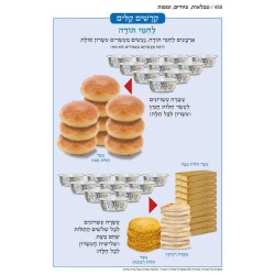 Chumash - Chinuch Tiferes Micha'el With Vowelized  | Books | Judaica