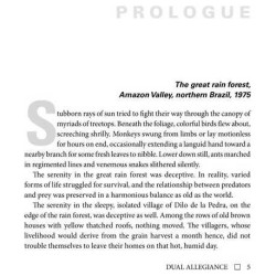 Dual Allegiance - Hardcover | Books | Judaica