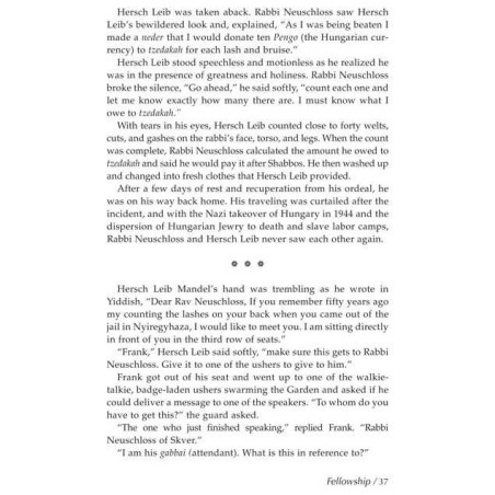 Echoes Of The Maggid - Hardcover | Books | Judaica