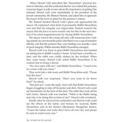 Echoes Of The Maggid - Hardcover | Books | Judaica