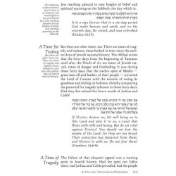 Eichah/Lamentations - Hardcover | Books | Judaica