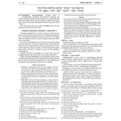 Eternal Fire of Sefer Vayikra | Books | Judaica