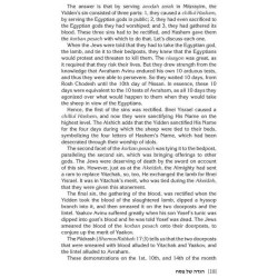 Haggadah Touched by Our Story | Passover | Judaica