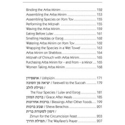 Halachic Handbook: The Laws of the Succah and Four | Sukkot | Judaica