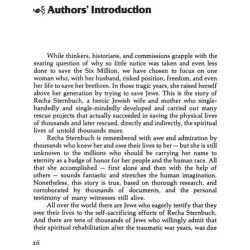 Heroine Of Rescue [Recha Sternbuch] Hardcover | Books | Judaica