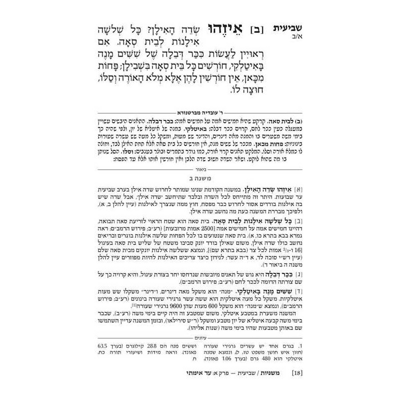 Ryzman Edition Hebrew Mishnah Shevi'is (Zeraim) -  | Books | Judaica