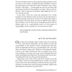 In The Splendor of The Maggid - Hardcover | Books | Judaica