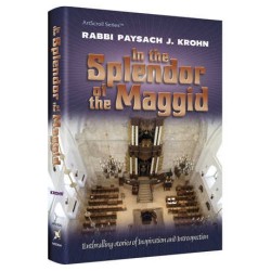 In The Splendor of The Maggid - Hardcover | Books | Judaica