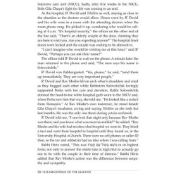 Illuminations of the Maggid | Books | Judaica