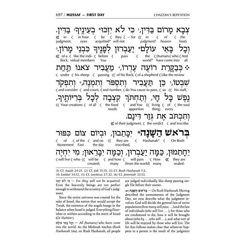 Interlinear 2 Volume Machzor Set - Ashkenaz | Books | Judaica