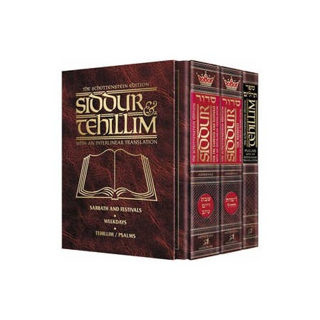 Siddur & Tehillim - Interlinear Translation 3 Vol  | Books | Judaica