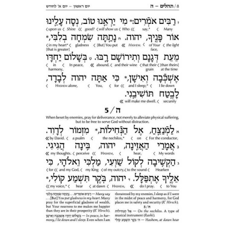 Interlinear Tehillim /Psalms Full Size The Schotte | Books | Judaica