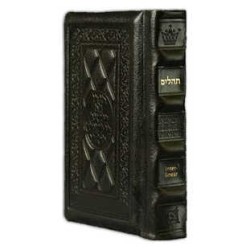 Interlinear Tehillim /Psalms Full Size - Dark Brow | Books | Judaica