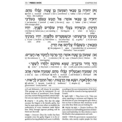 Schottenstein Ed Interlinear Pirkei Avos | Books | Judaica