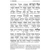 Interlinear Weekday Siddur Full Size - Ashkenaz Wh | Books | Judaica
