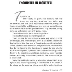 It Could Have Been You Volume 3 - Hardcover | Books | Judaica