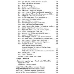 Hebrew/English Kinnos / Tishah B'av Service - Ashk | Books | Judaica