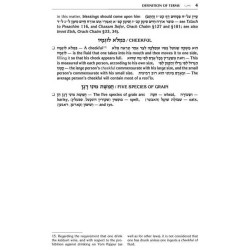 Kleinman Edition Kitzur Shulchan Aruch Code of Jew | Books | Judaica